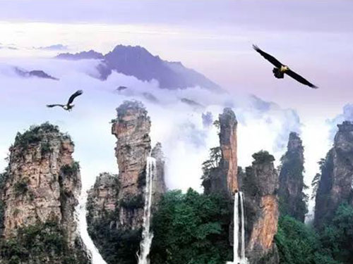 張家界千總生態(tài)食品有限公司,豆類(lèi)食品生產(chǎn)加工銷(xiāo)售