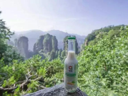 張家界千總生態(tài)食品有限公司,豆類(lèi)食品生產(chǎn)加工銷(xiāo)售