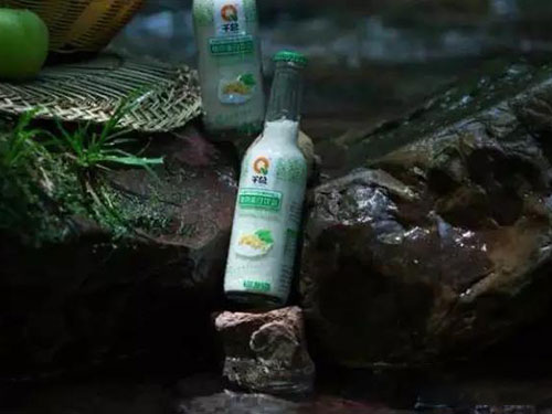 張家界千總生態(tài)食品有限公司,豆類(lèi)食品生產(chǎn)加工銷(xiāo)售